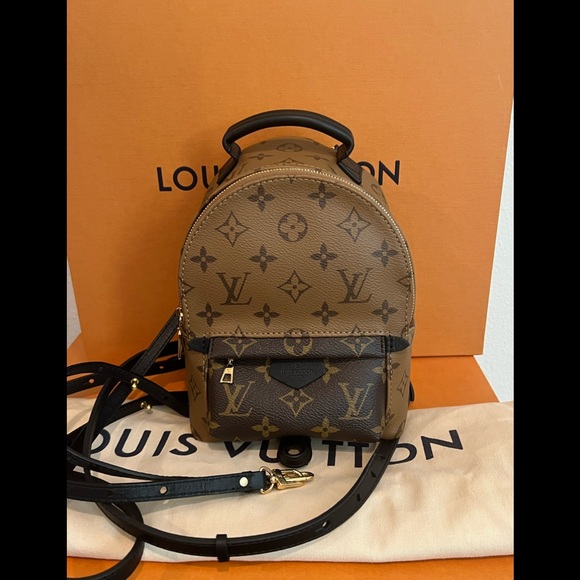 Louis Vuitton Handbags - 🌴Louis Vuitton Palm Springs Mini Backpack 🌴